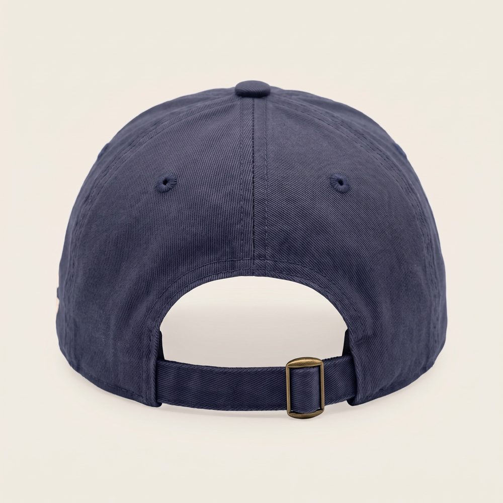 August Recess cap, Washed navy, back